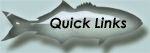 Quick Links